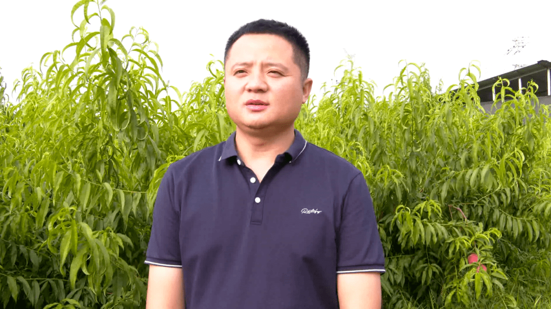 沧州市朱志明，乡村振兴的领航者