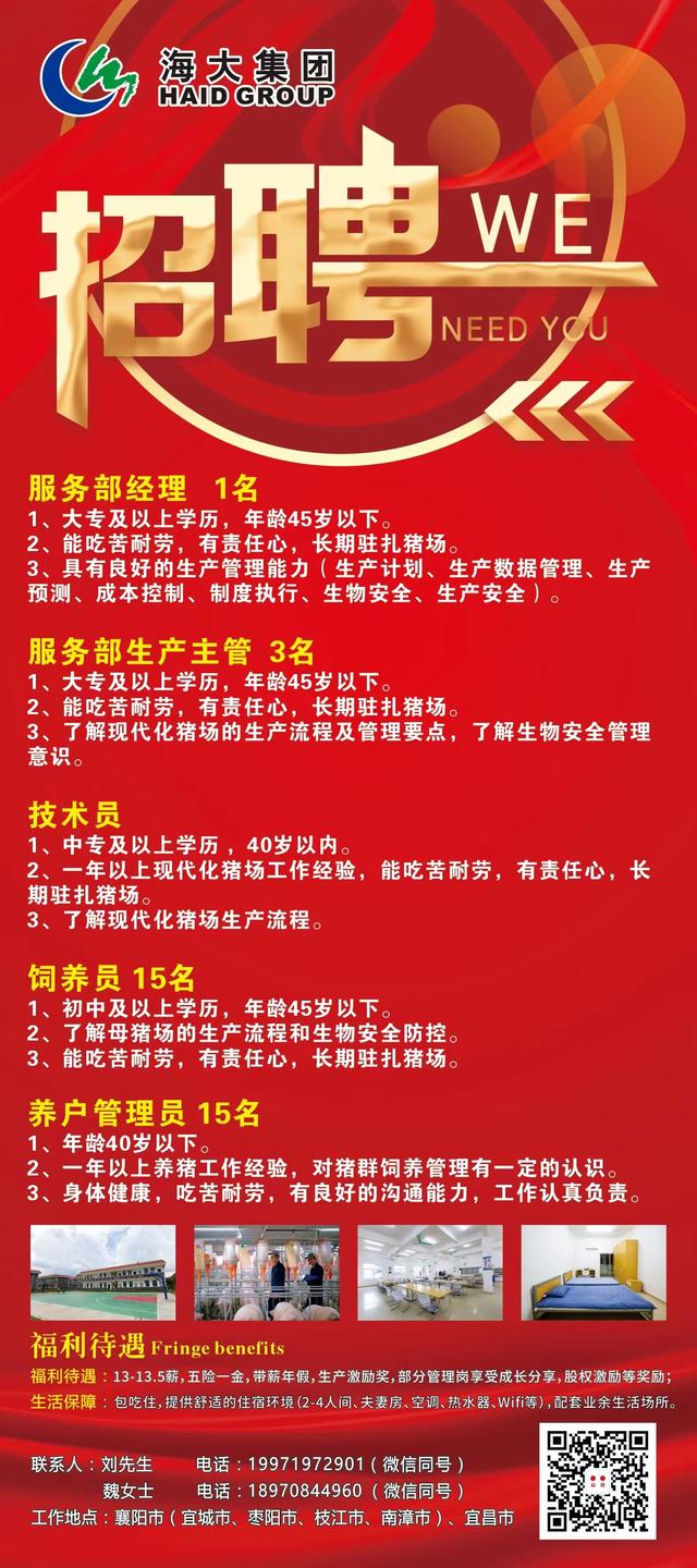 最新招聘动态，新民58招聘网助力职场新航程